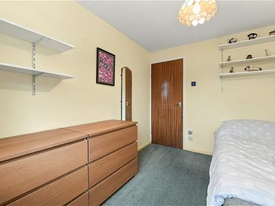 Picture 31